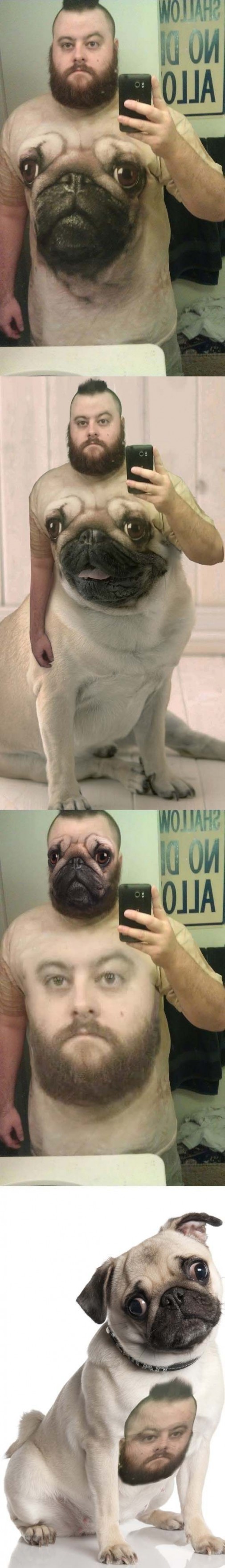 Co k tomu dodat?